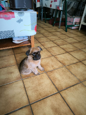 Amanda